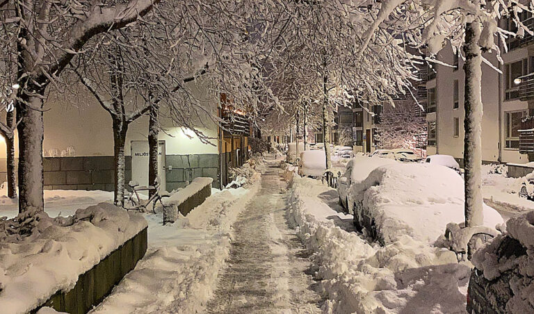 Feministisk snöröjning den mest lyckade lobbykampanjen någonsin