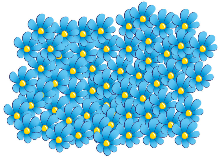 Sverigedemokraterna söker nya representanter 