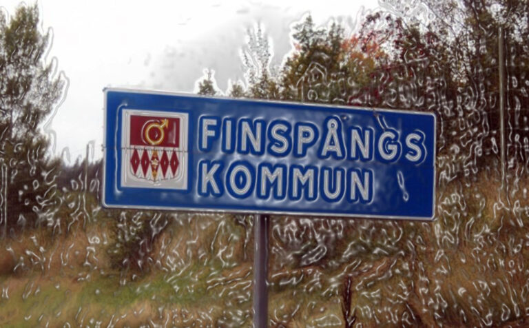 SD:s Finspångskrets ”så jävla taggade” inför partiets landsdagar